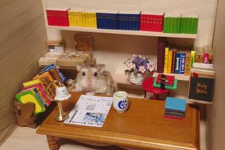 Śmieszny chomik to hit internetu!