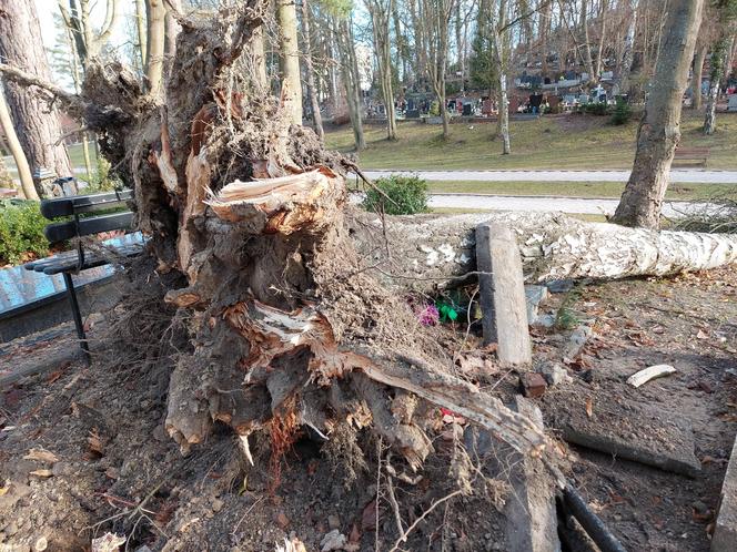 Zniszczony cmentarz, powalone drzewa, uszkodzone dachy. Przez Pomorze przetoczyła się potężna wichura