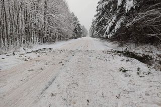 Tę świętokrzyską wieś otaczają same lasy. Co warto zwiedzić w okolicy?