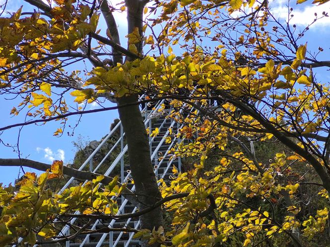 To jedno z najstarszych polskich uzdrowisk najpiękniej wygląda jesienią. Kurowali się w nim Sienkiewicz, Prus, Matejko i Konopnicka