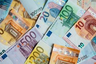 Polska w końcu przyjmie euro? Zaskakujące wyniki sondażu