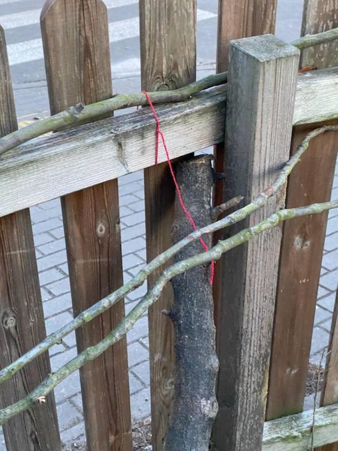 Muzeum Patyka w Toruniu