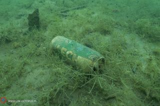 jezioro Tarnobrzeskie Niezwykła akcja płetwonurków