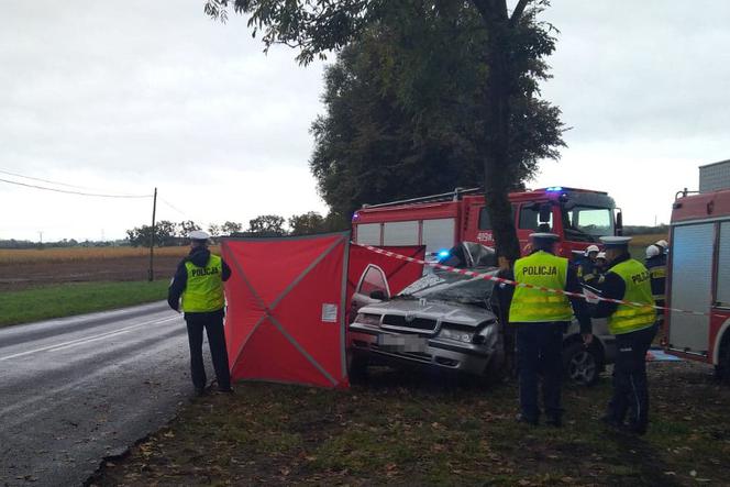 Tragedia pod Brodnicą. W Czekanowie kierowca osobówki UDERZYŁ W DRZEWO!