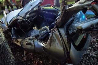 Tragiczny wypadek w Wielkopolsce. 74-latek prowadził bez prawa jazdy, nie udało się go uratować