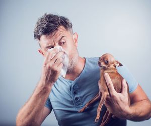 Alergia na sierść - objawy, przyczyny i leczenie 