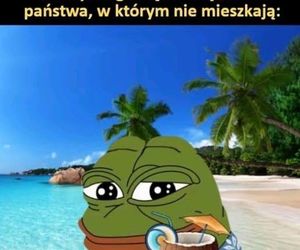 Najlepsze memy po wyborach prezydenckich 2025