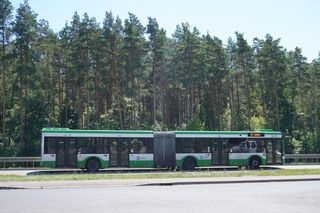 Darmowa komunikacja miejska w Białymstoku. Jak pojadą autobusy w Święto Zmarłych?