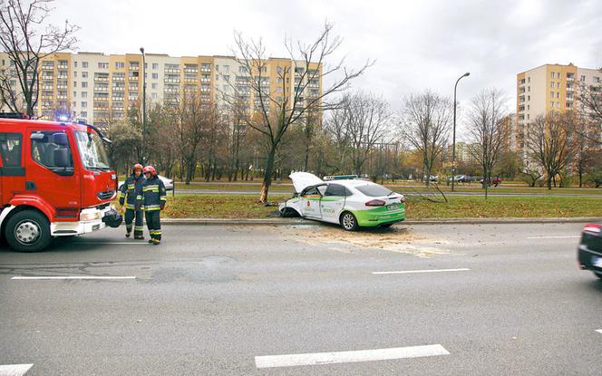 kierowca zasłabł na drzewie