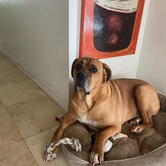 Nie żyje znany aktor. Zagrał w wielu hitach!