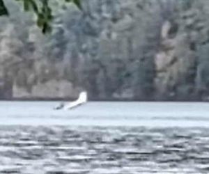 Awionetka runęła do jeziora Międzybrodzkiego. Wiemy, co z pilotem! [ZDJĘCIA]