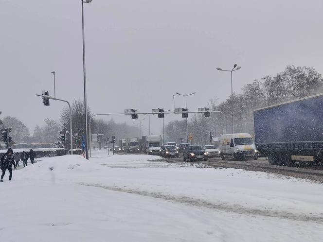 Potężny atak zimy w Małopolsce. Śnieg sypie bez przerwy