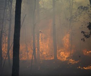 Pożary pustoszą Wschodnie Wybrzeże i Kalifornię. Jedna ofiara