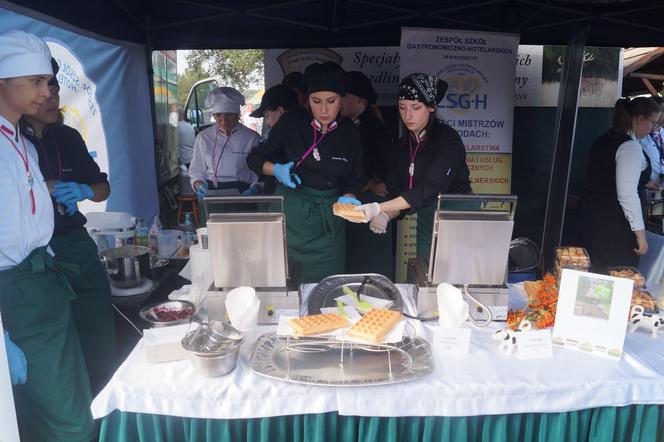 Jarmark Kujawsko-Pomorski 2023 w bydgoskim Myślęcinku 