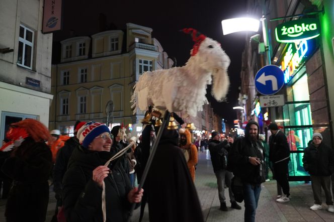 Podkoziołek 2025. Kolorowy pochód w Poznaniu