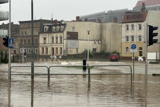 Zalana Jelenia Góra