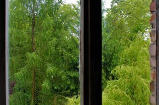 Pałac Rechenbergów w Sławie lata świetności ma już za sobą. Obecnie niszczeje i straszy