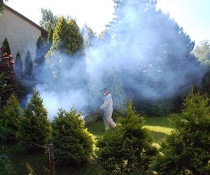Komary w ogrodzie? Poznaj tajniki skutecznego odkomarzania i ceny takich usług