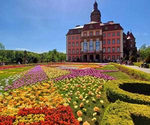 Zamek Książ. Festiwal kwiatów 2024