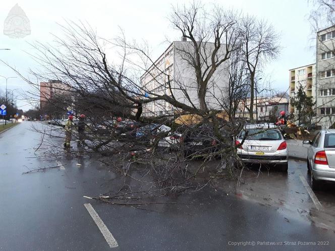 Skutki wichur w Łodzi