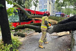 Drzewo przewróciło się na miejski autobus. Są osoby poszkodowane