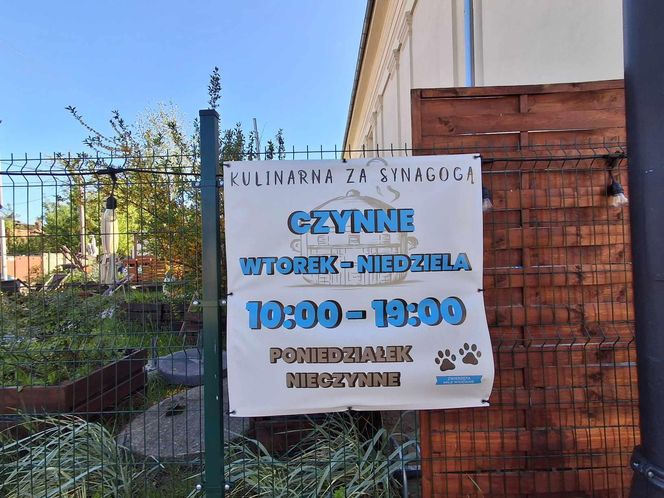 Jak smakują koszerne gołąbki? Dlaczego Żydzi nigdy nie użyją karczochów? Przyjdź na warsztaty koszernej kuchni