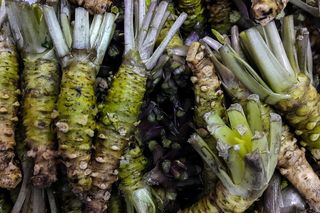 Aż 1000 zł za kilogram! Najzdrowsza roślina na świecie łagodzi stany zapalne i wspiera pracę mózgu