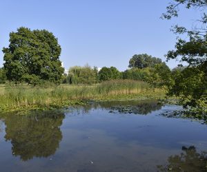 Park Skaryszewski w Warszawie