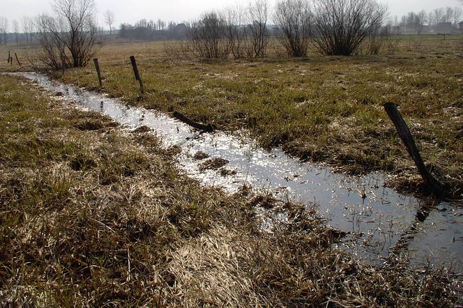 Jej ciało znalazł w rowie syn. Zaginiona 55-latka spod Iławy nie żyje!