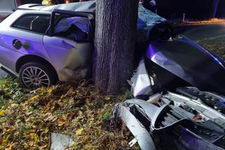 Tragiczny wypadek w gminie Kozłowo. Auto uderzyło w drzewo. Kierowca nie żyje [ZDJĘCIA]