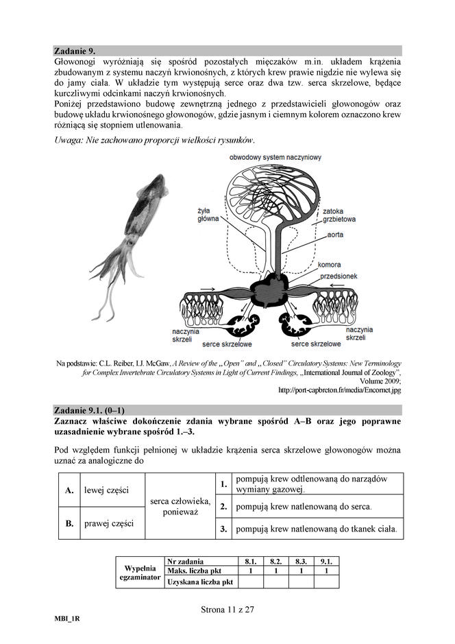 Matura 2018 z biologii. Poziom rozszerzony - arkusze CKE