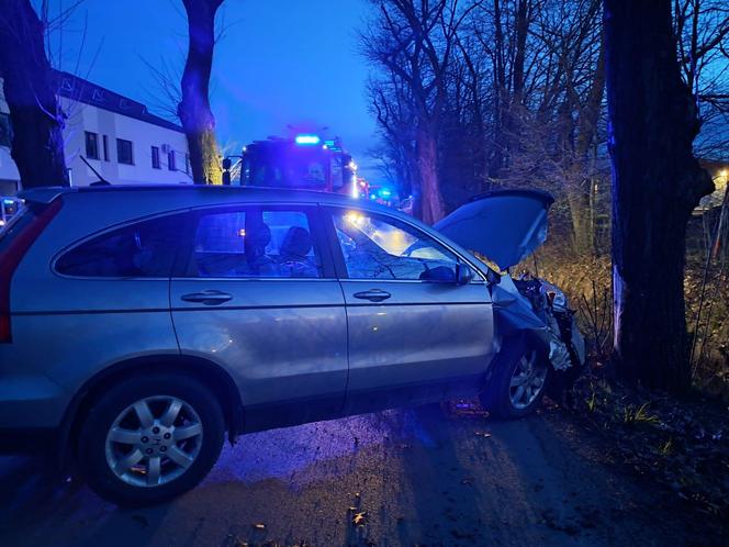 Wierzchosławice. Pijany 40-latek roztrzaskał hondę na drzewie