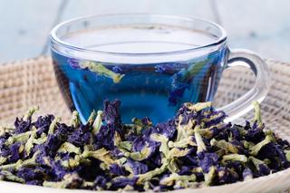 Niebieska herbata. Klitoria ternateńska - roślina na niebieską herbatę