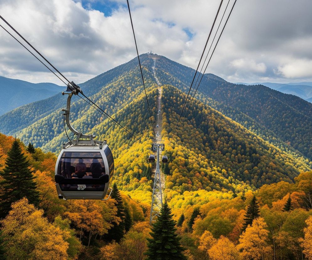 Na pierwszym planie, z lewej strony, widoczna jest szara gondola kolejki linowej z dużymi oknami, w której siedzą co najmniej dwie osoby. Od niej w górę i w prawo rozciągają się czarne liny. Cały obraz zdominowany jest przez jesienny górski krajobraz z licznymi drzewami o liściach w odcieniach intensywnej żółci, pomarańczu i zieleni, pokrywającymi zbocza gór, z wyraźnym pasem przerzedzonego lasu prowadzącym na szczyt odległej góry. W tle widać kolejne, coraz jaśniejsze odcienie gór i puszyste, białe chmury na częściowo zachmurzonym niebie.