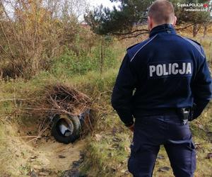 Chcieli być królami życia.  Karierę zaczęli od kradzieży skrzynek z butelkami po piwach