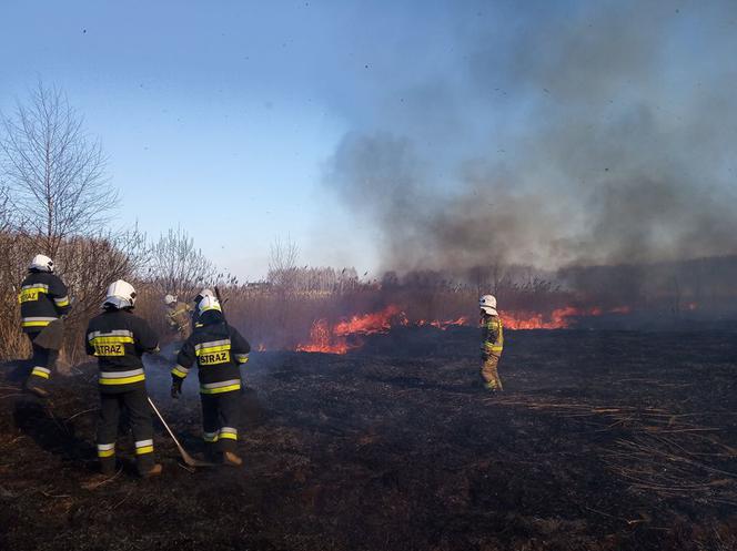 Potężny pożar na Śląsku! Strażacy kilka godzin walczyli z ogniem