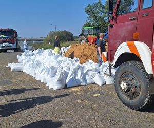 Monitorują i pakują worki z piaskiem. Powiat górowski przygląda się Odrze