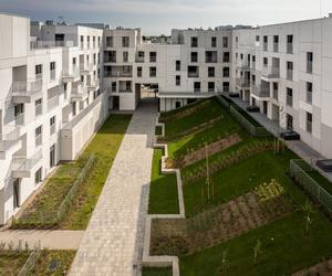 Architektura dla ludzi pod znakiem White Stone