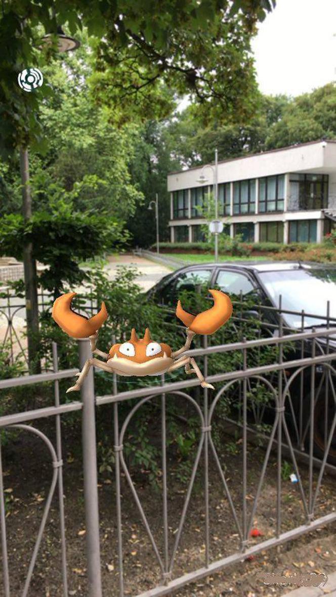 Pokemony w Chorzowie