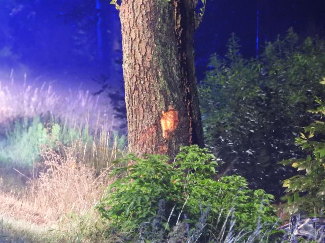 Roztrzaskał się mercedesem na drzewie. Nie miał żadnych szans