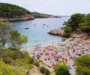 Ogromne węże na modnej wśród turystów wyspie. Odstraszają plażowiczów, bo mnóstwo ich w morzu