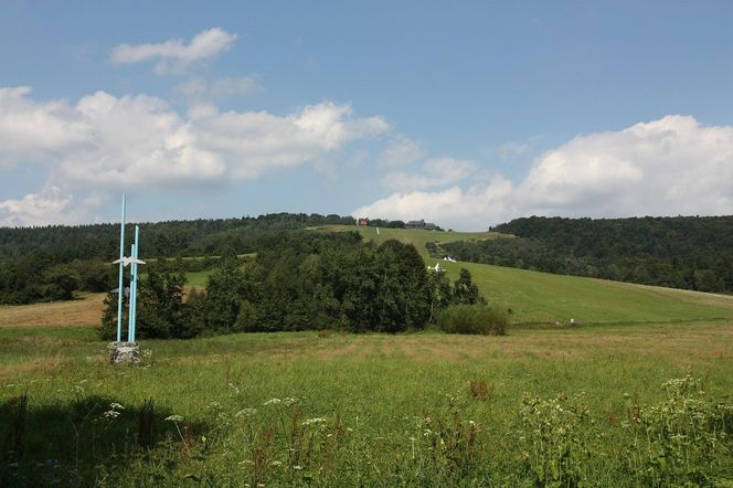 Bezmiechowa - wieś na Podkarpaciu, która w całej Polsce słynie z jednej rzeczy 