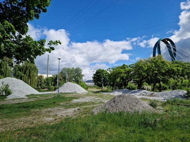 Torowisko tramwajowe na Babiej Wsi w Bydgoszczy zarośnięte chwastami. Tramwaje zniknęły stąd lata temu