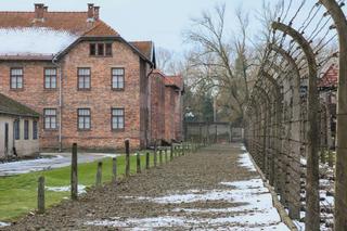 Małopolskie. Obchody 79. rocznicy wyzwolenia Auschwitz odbędą się w Oświęcimiu i Brzezince