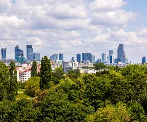 Nowe plany miejscowe Warszawy chronią ogródki działkowe