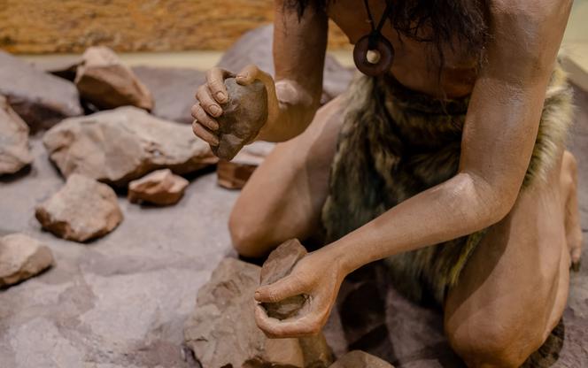 Odkrycie z czasów prehistorii w Zwoleniu. Naukowcy wrócili w to miejsce po 30 latach