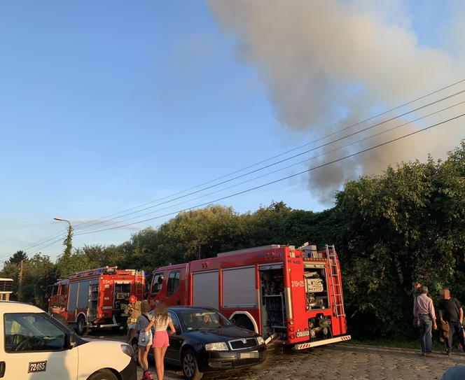 Pożar w ogródku działkowym w okolicach ulicy Lewinowskkiej i Łodygowej