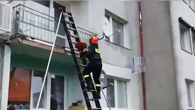 Wysoka: Przyjechał na sygnale do ukochanej. Wszedł na balkon i padł na kolana [WIDEO]