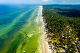 Plaża w Lubiatowie.