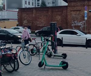 Katarzyna Figura na zakupach